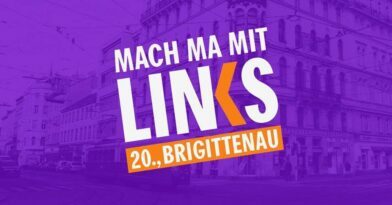 LINKS Bezirksgruppentreffen Brigittenau