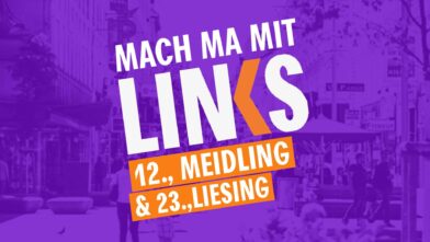 LINKS Meidling/Liesing: Treffen der Bezirksgruppe